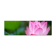 Pink Flowers Sticker Bumper (100 Pack)