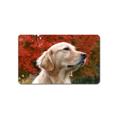 Dog-photo Cute Magnet (name Card) by swimsuitscccc