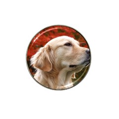 Dog-photo Cute Hat Clip Ball Marker (4 Pack) by swimsuitscccc