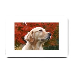 Dog-photo Cute Small Doormat by swimsuitscccc