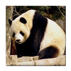 Giant Panda National Zoo Tile Coaster by rainbowberry