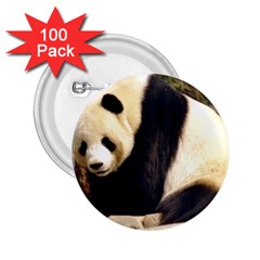 Giant Panda National Zoo 2 25  Button (100 Pack)