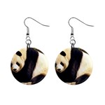 Giant Panda National Zoo 1  Button Earrings Front
