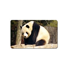 Giant Panda National Zoo Magnet (name Card)