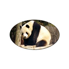 Giant Panda National Zoo Sticker Oval (100 Pack) by rainbowberry