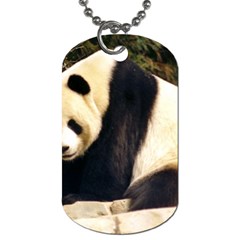 Giant Panda National Zoo Dog Tag (two Sides) by rainbowberry