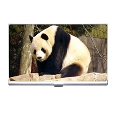 Giant Panda National Zoo Business Card Holder by rainbowberry