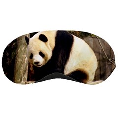 Giant Panda National Zoo Sleeping Mask by rainbowberry