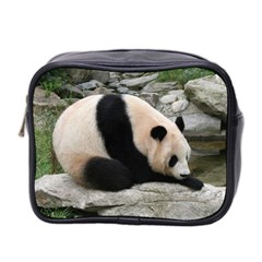 Giant-panda-water Mini Toiletries Bag (two Sides) by rainbowberry