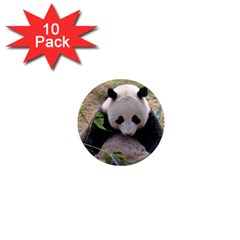 Big Panda 1  Mini Magnet (10 Pack)  by dropshipcnnet