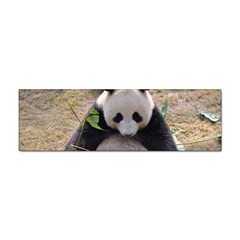 Big Panda Sticker Bumper (10 Pack) by dropshipcnnet