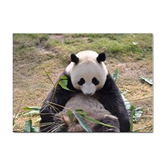 Big Panda Sticker A4 (100 Pack)