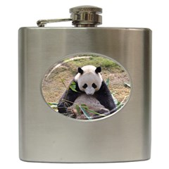 Big Panda Hip Flask (6 Oz)