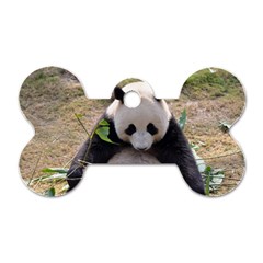 Big Panda Dog Tag Bone (one Side) by dropshipcnnet