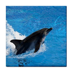 Swimming Dolphin Tile Coaster by knknjkknjdd