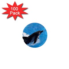 Swimming Dolphin 1  Mini Magnet (100 Pack)  by knknjkknjdd