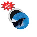 Swimming Dolphin 1.75  Magnet (100 pack)  Front