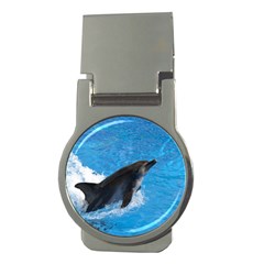 Swimming Dolphin Money Clip (round) by knknjkknjdd