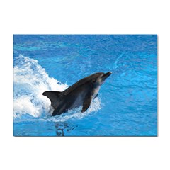 Swimming Dolphin Sticker A4 (10 Pack)