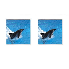 Swimming Dolphin Cufflinks (square) by knknjkknjdd