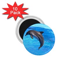 Jumping Dolphin 1 75  Magnet (10 Pack)  by dropshipcnnet