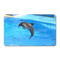 Jumping Dolphin Magnet (rectangular) by dropshipcnnet