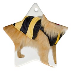 Dog Photo Ornament (star) by dogland