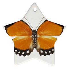 Butterfly Insect Ceramic Ornament (star)