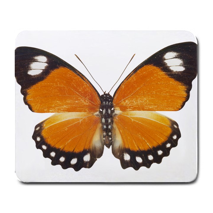 Butterfly Insect Large Mouse Pad (Rectangle)