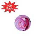 Rose Reverence 1  Mini Button (100 pack) 