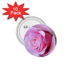 Rose Reverence 1.75  Button (10 pack) 