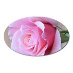 Rose Reverence Magnet (Oval)