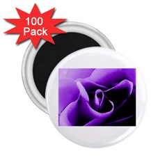 Purple Rose 100 Pack Regular Magnet (round) by PurpleVIP