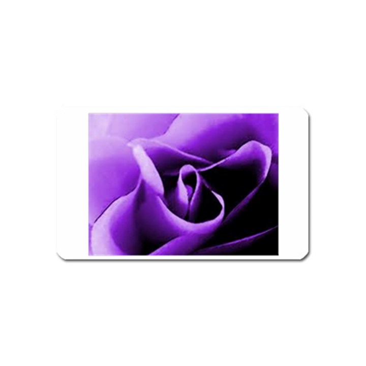 Purple Rose Name Card Sticker Magnet