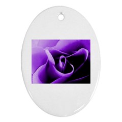 Purple Rose Oval Ornament (two Sides) by PurpleVIP