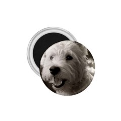 Westie Puppy Small Magnet (round) by Koalasandkangasplus