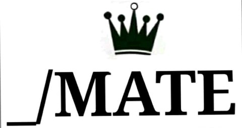 _/MATE logo